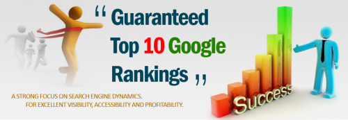 search engine optimization services in rohtak